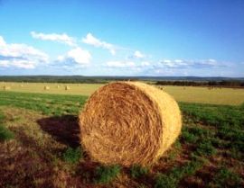 Contributi A Fondo Perduto Imprese Agricole