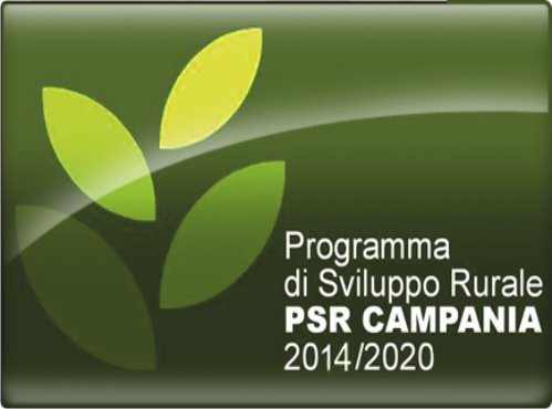 P.S.R. Campania 2014 – 2020 Rivolto Agli Investimenti In Attività Extra Agricole In Aree Rurali.