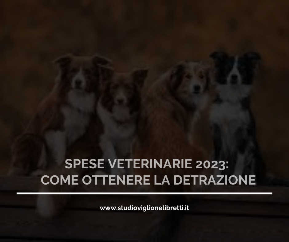 SPESE VETERINARIE 2023: COME OTTENERE LA DETRAZIONE